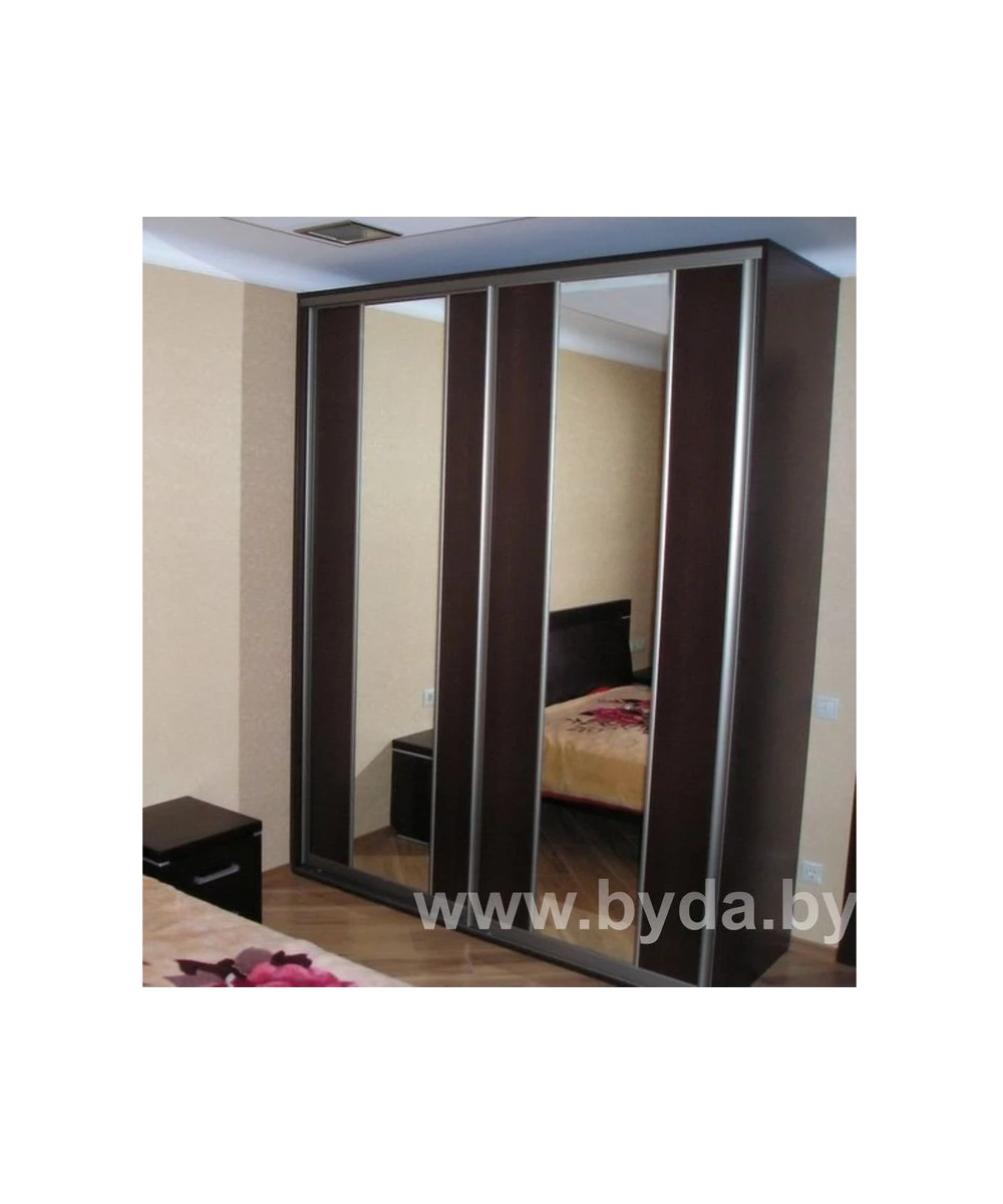 Шкаф-купе с параллельными зеркалами