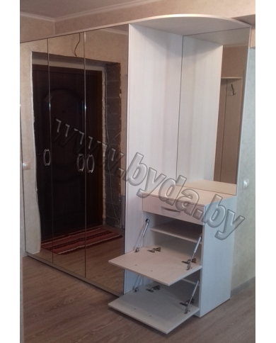 Шкаф с распашными дверями
