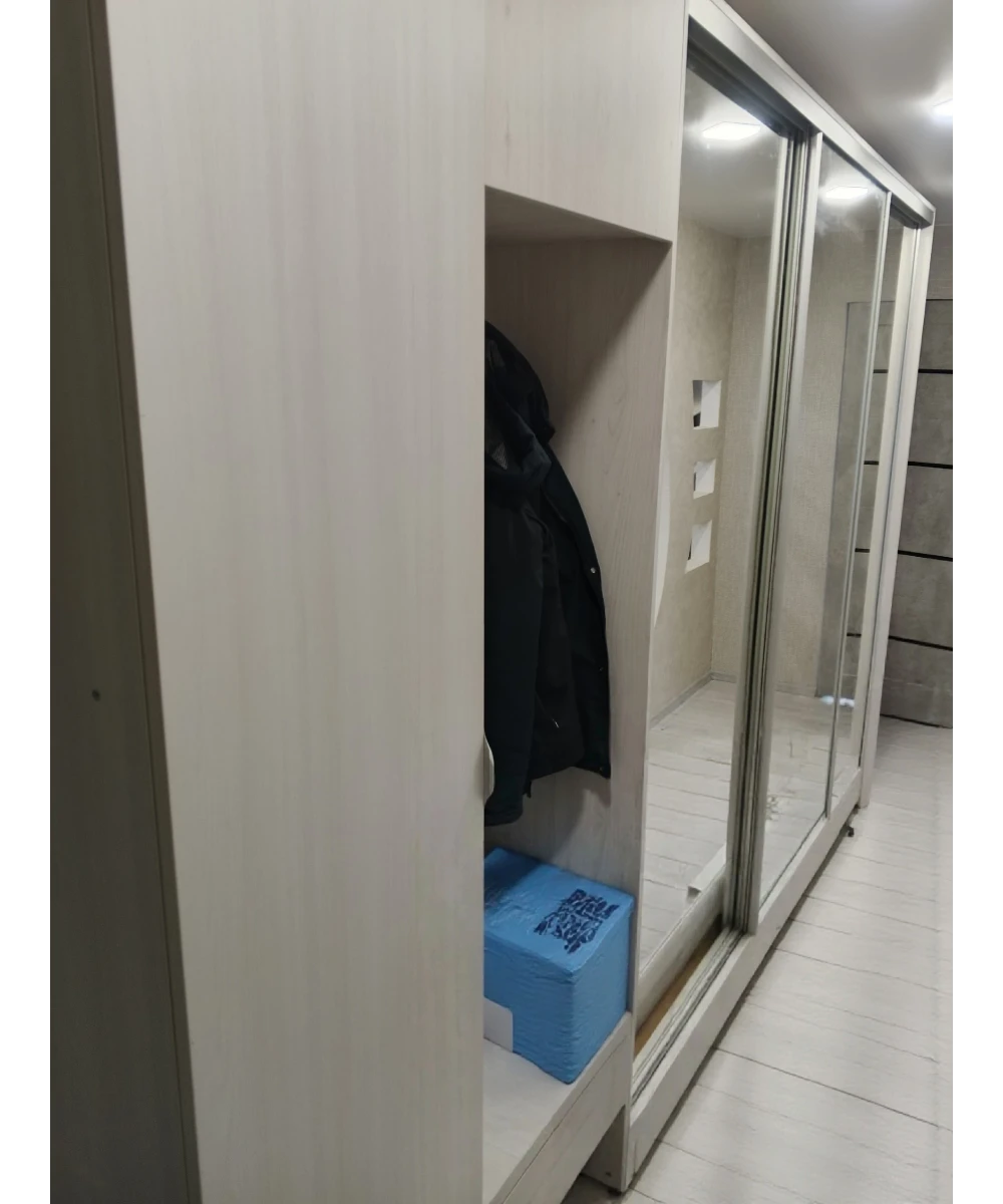 Шкаф-купе зеркальный с выдвижными вешалками.