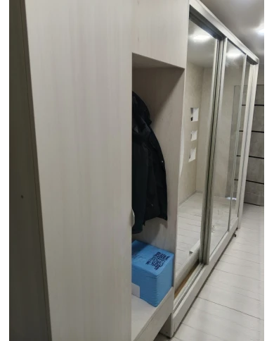 Шкаф-купе зеркальный с выдвижными вешалками.