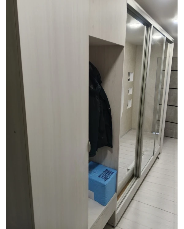 Шкаф-купе зеркальный с выдвижными вешалками.