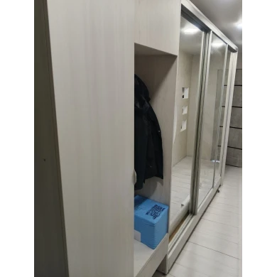 Шкаф-купе зеркальный с выдвижными вешалками.