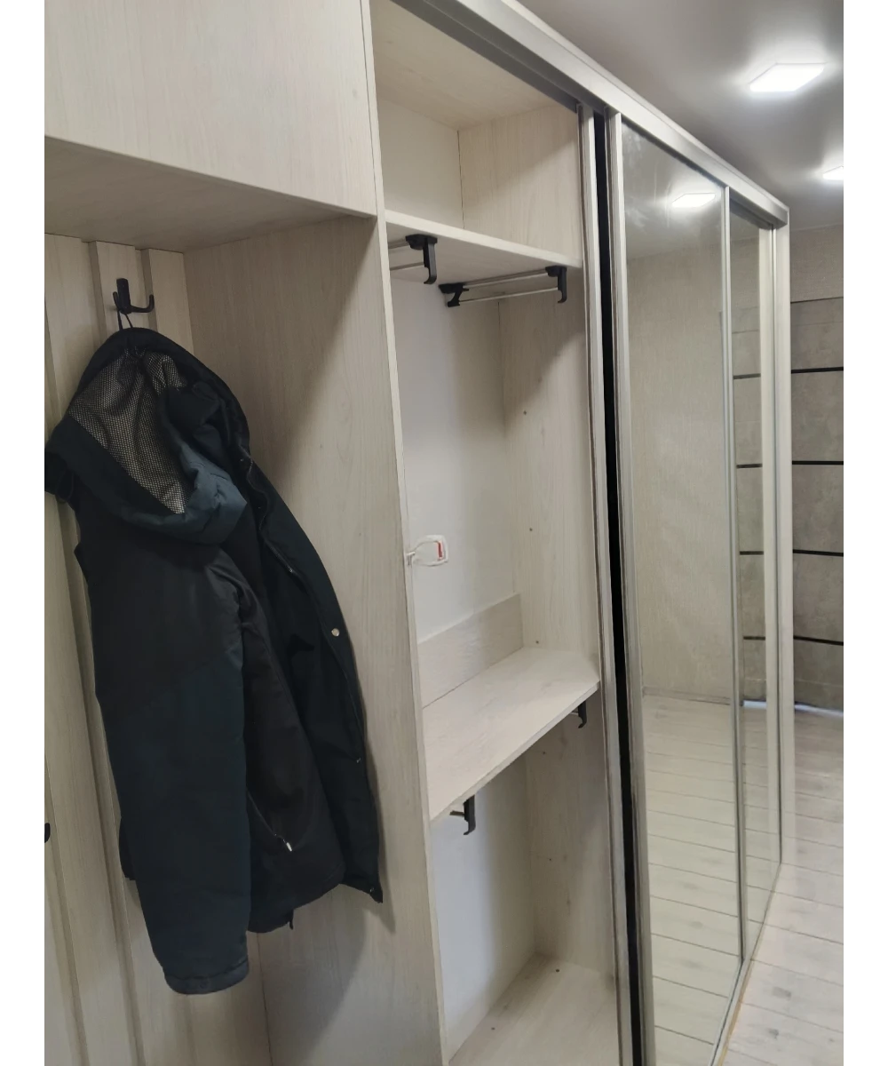 Шкаф-купе зеркальный с выдвижными вешалками.
