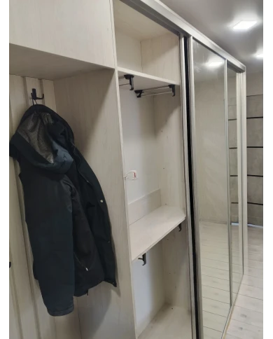 Шкаф-купе зеркальный с выдвижными вешалками.