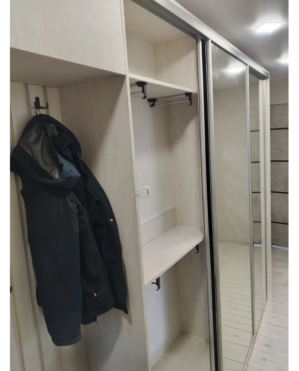 Шкаф-купе зеркальный с выдвижными вешалками.