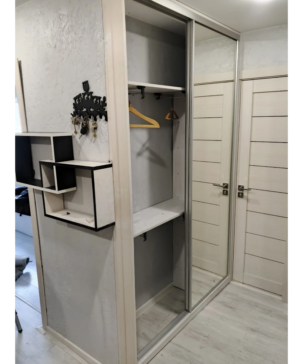 Шкаф-купе встроенный, зеркальный.