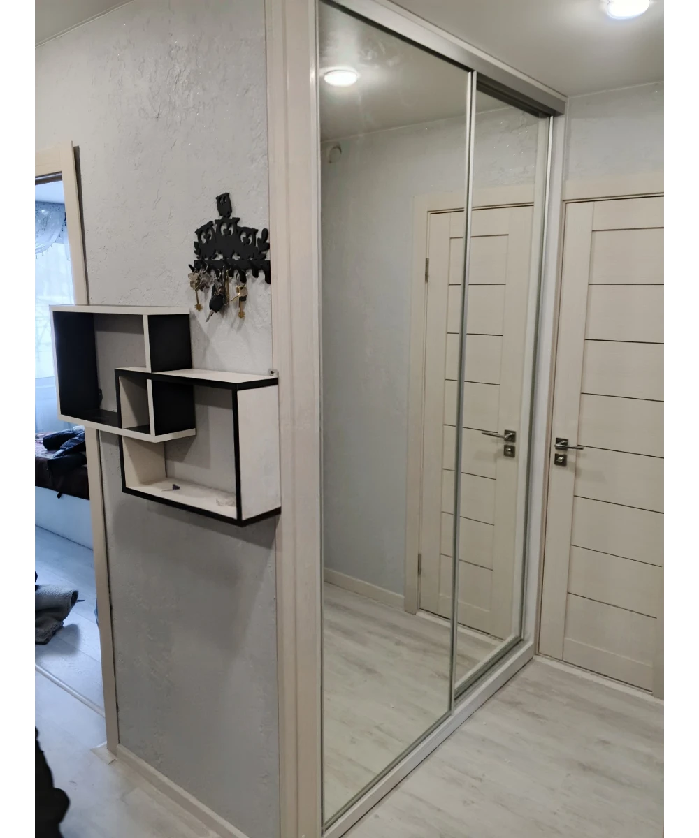 Шкаф-купе встроенный, зеркальный.